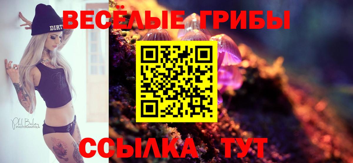 купить наркотики сайты  Вход с VPN  Первоуральск  Псилоцибиновые грибы мухоморы 