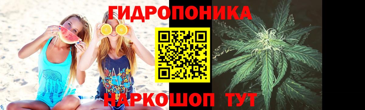 Канабис SATIVA & INDICA Первоуральск